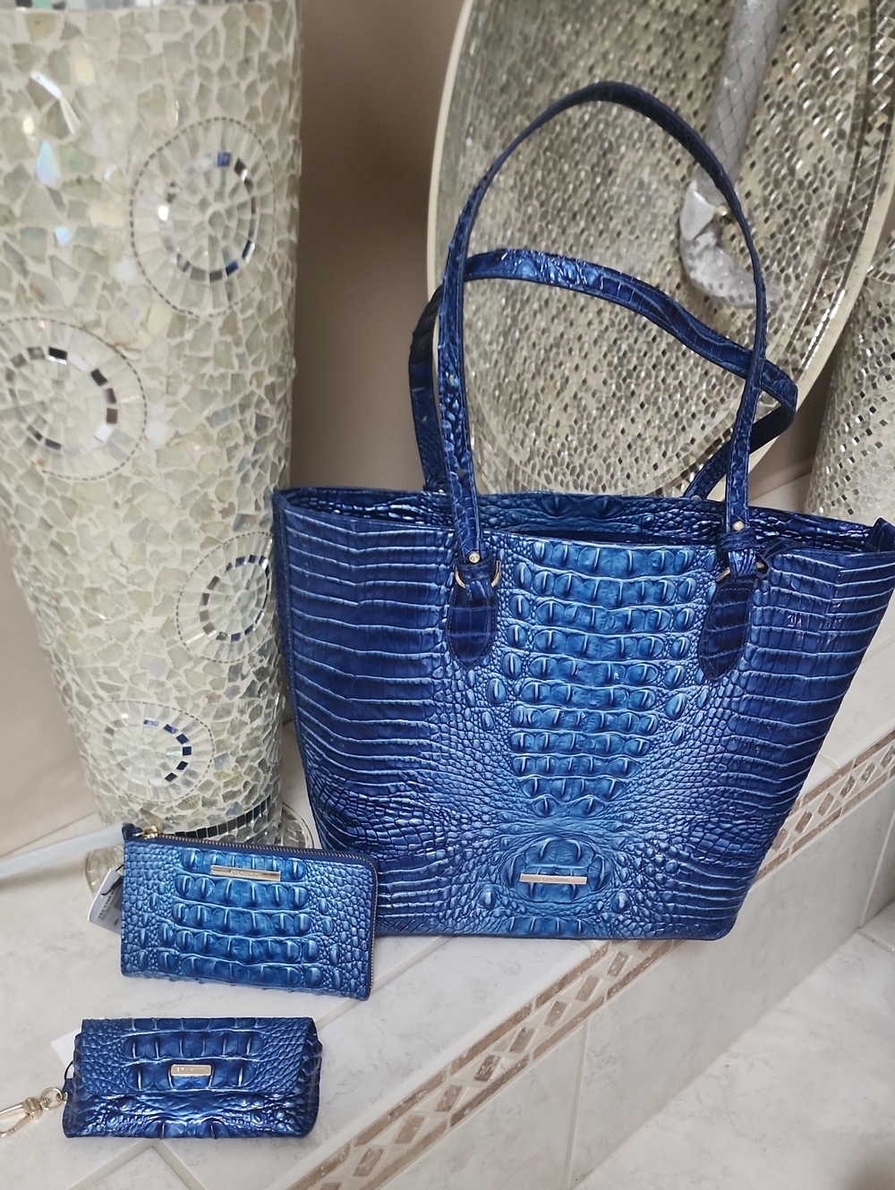 💙 BRAHMIN ELLEN VISTA BLUE TOTE & CORIE WALLET & ELORA SUNGLASSES CASE 💙